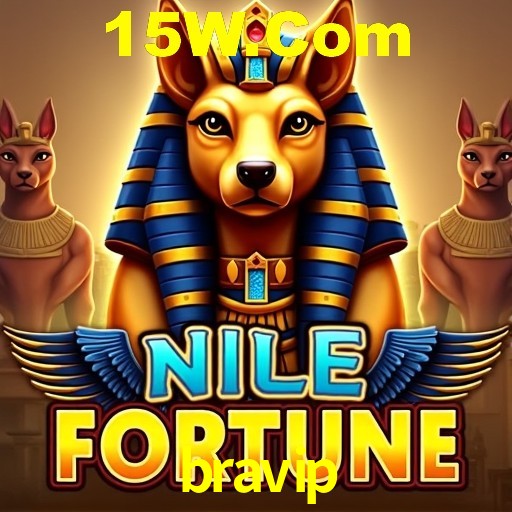 Descubra a Essência do bravip: Nossa História e Compromissos