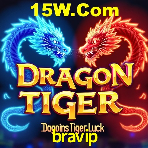 Descubra a Essência do bravip: Nossa História e Compromissos