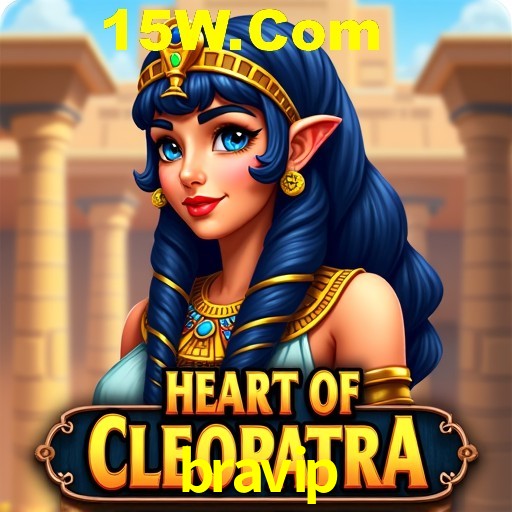 API Integration bravip