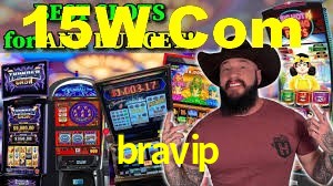 bravip App Interface