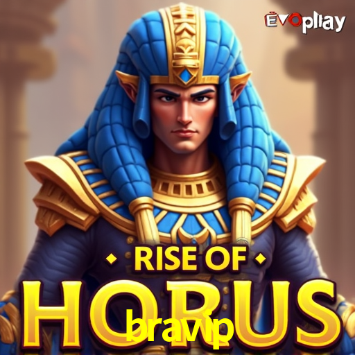 Responsive Design bravip