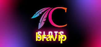 bravip,bravip.com