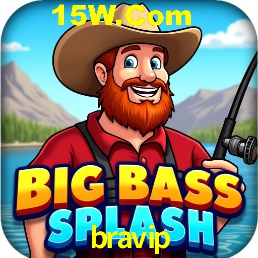 Exclusive Offers bravip
