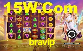 bravip,bravip.com