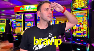 bravip,bravip.com